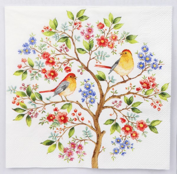 Áebol de la plenitud