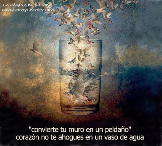 Separaci�n / aislamiento